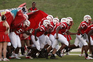 球迷助威声点燃比赛氛围，球迷助威口号