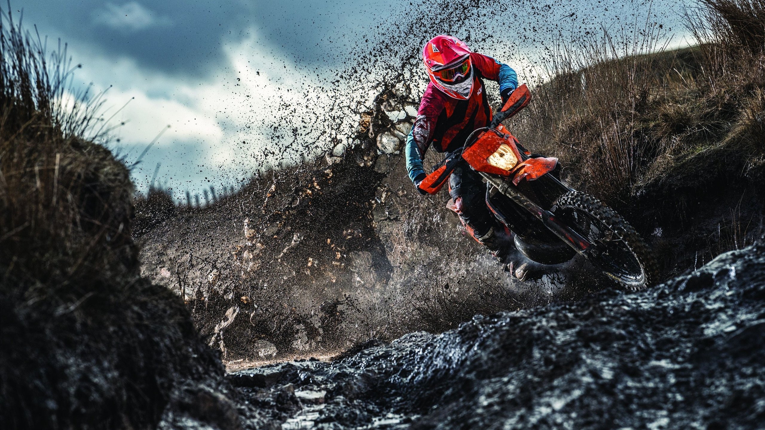 逆风飞扬：用坚韧书写的逆转奇迹！，逆风飞翔和逆风飞扬的区别